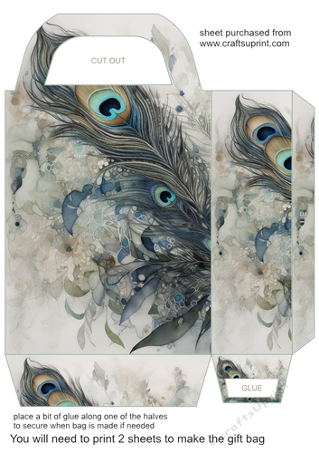 Peacock feather gift bag 12