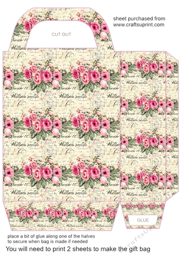 Pink floral gift bag N1
