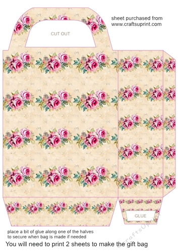 Pink floral gift bag N3