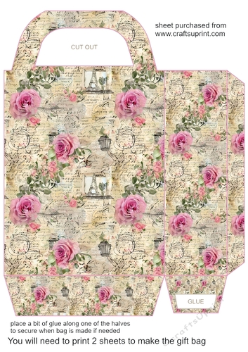 Pink floral gift bag N6