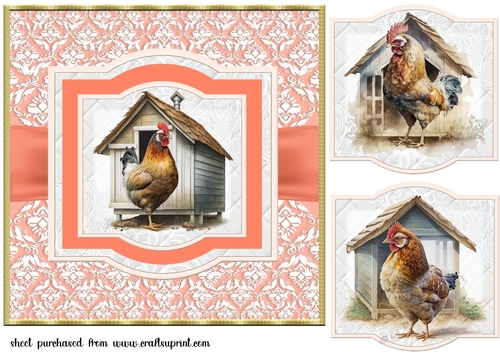 All about the chickens card front 3