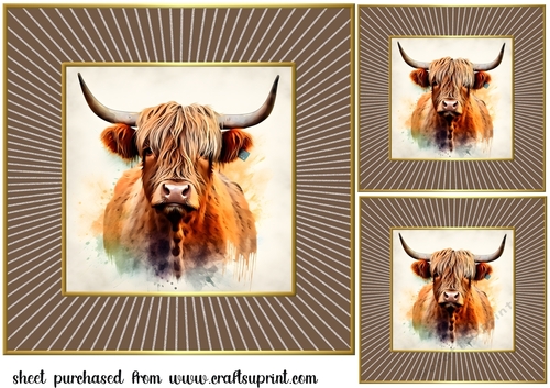 3 Framed Highland cow card fronts/toppers 1
