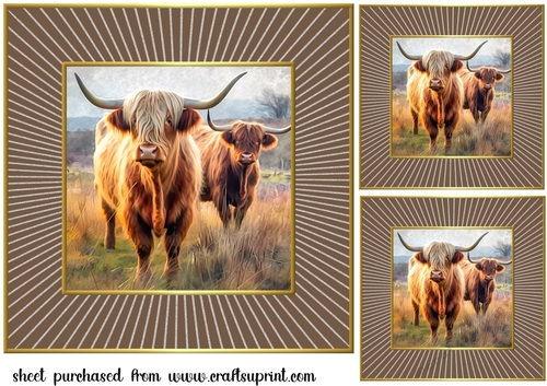 3 Framed Highland cow card fronts/toppers 2