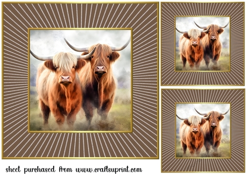 3 Framed Highland cow card fronts/toppers 3