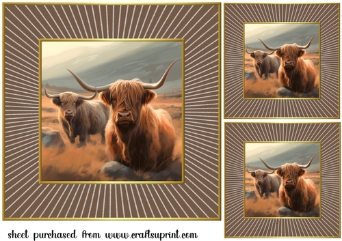 3 Framed Highland cow card fronts/toppers 4