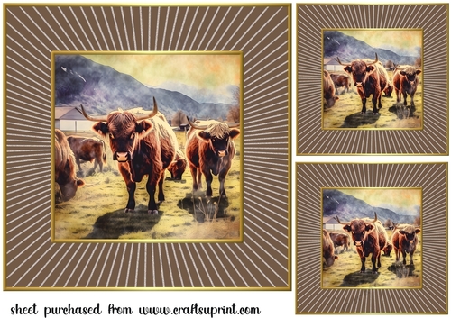3 Framed Highland cow card fronts/toppers 5