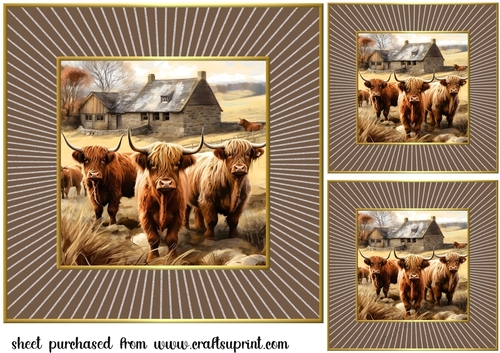3 Framed Highland cow card fronts/toppers 6