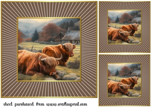 3 Framed Highland cow card fronts/toppers 7