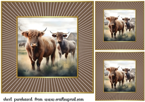 3 Framed Highland cow card fronts/toppers 8