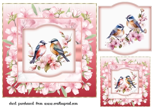 Cherry blossom a little birdy told me card front 1
