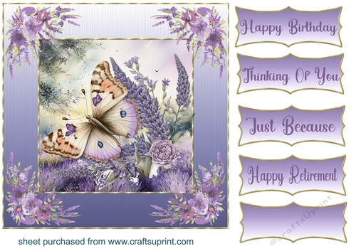 Framed lavender butterfly card front 2