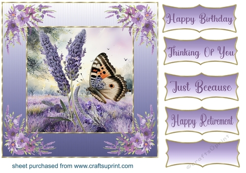 Framed lavender butterfly card front 4