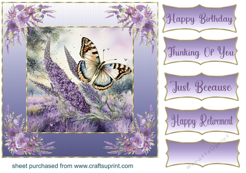 Framed lavender butterfly card front 5