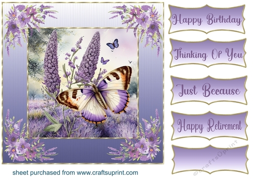 Framed lavender butterfly card front 6