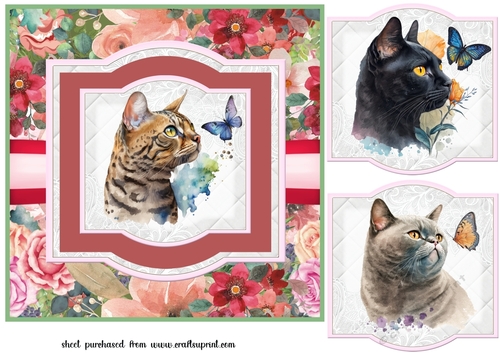 Cat with butterfly card front 1