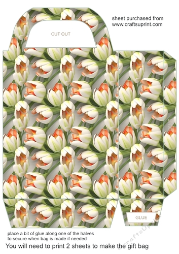 All about the flowers gift bag 17