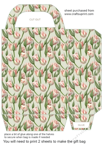 All about the flowers gift bag 18