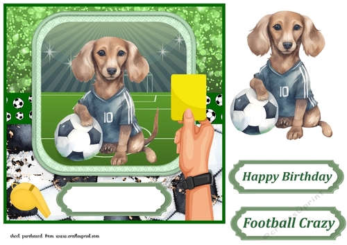 Football crazy dog card front 9