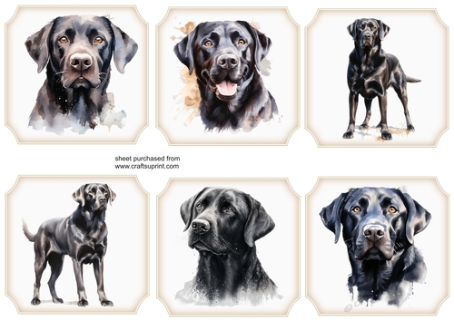 6 Black Lab toppers