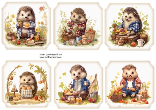 6 Picnic hedgehog toppers