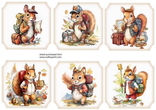 6 Adventure squirrel toppers
