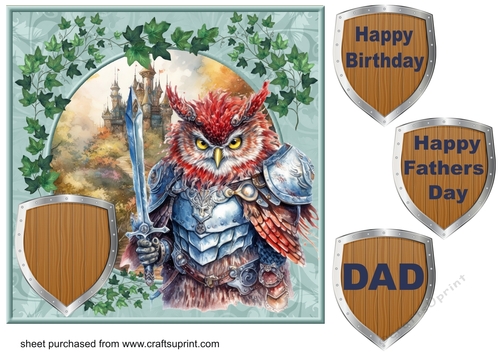 Owl guarding castle card front 2