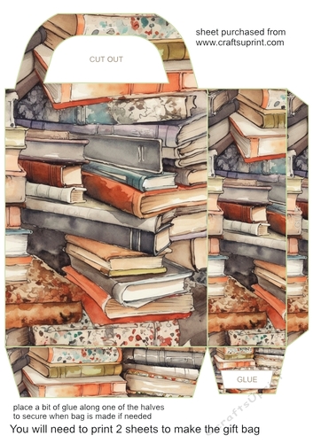 All about the books gift bag 2