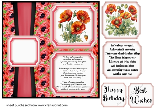 2 Panel Birthday poppy card front 3