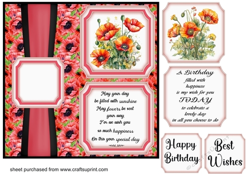 2 Panel Birthday poppy card front 4