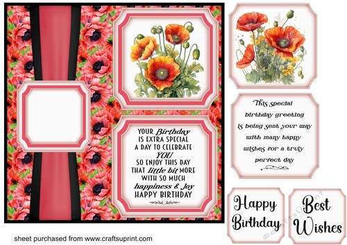 2 Panel Birthday poppy card front 5