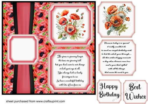 2 Panel Birthday poppy card front 6