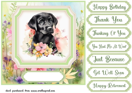Floral pup card front 1