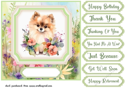 Floral pup card front 17