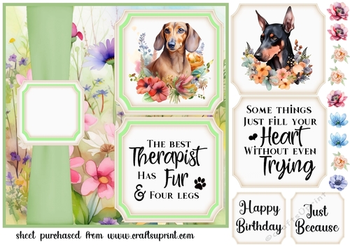 2 Panel floral pup card front 5