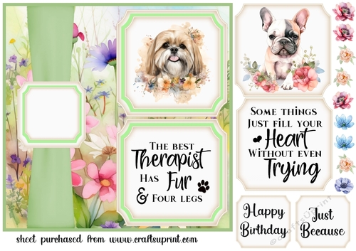 2 Panel floral pup card front 6