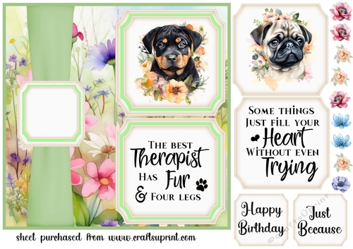 2 Panel floral pup card front 7