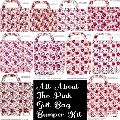 All about the pink gift bag bumper kit