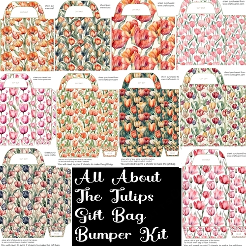 All about the tulips gift bag bumper kit