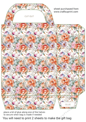 Multi coloured rose gift bag 13