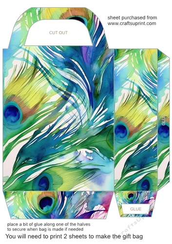 Colourful peacock feathers gift bag 11