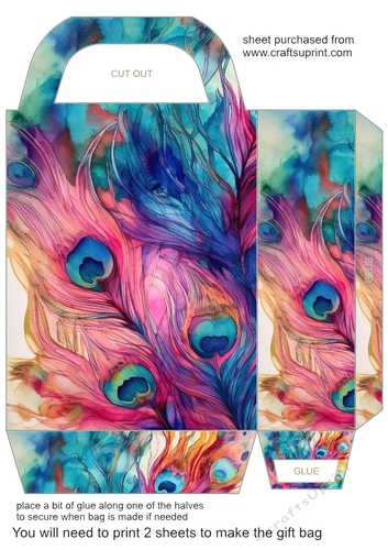 Colourful peacock feathers gift bag 12