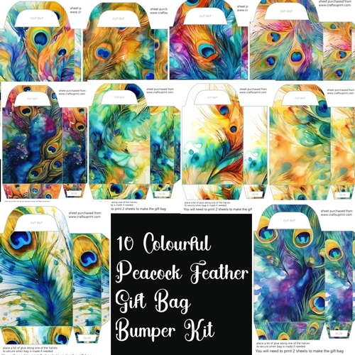 10 Colourful peacock feather gift bag bumper kit