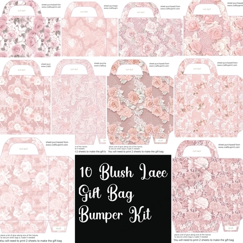 10 Blush lace gift bag bumper kit