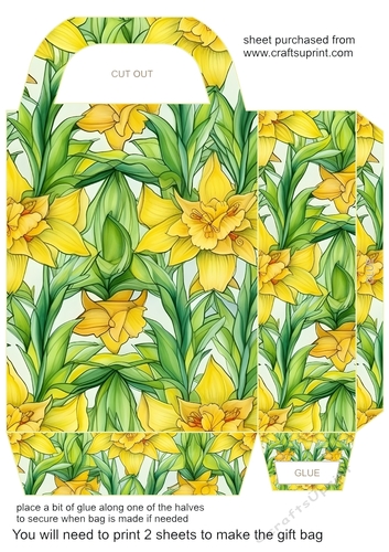 Daffodil gift bag 1
