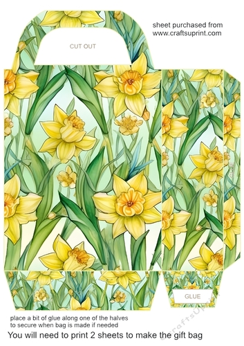 Daffodil gift bag 2