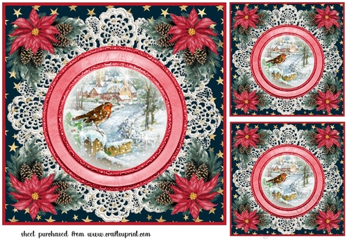 3 Christmas robin card front/toppers 1