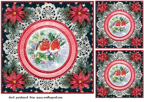 3 Christmas robin card front/toppers 2