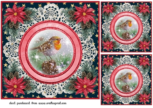 3 Christmas robin card front/toppers 3