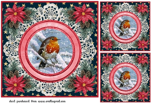 3 Christmas robin card front/toppers 6