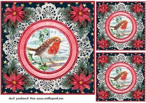 3 Christmas robin card front/toppers 7